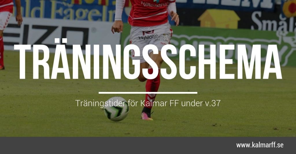 Veckans träningsschema