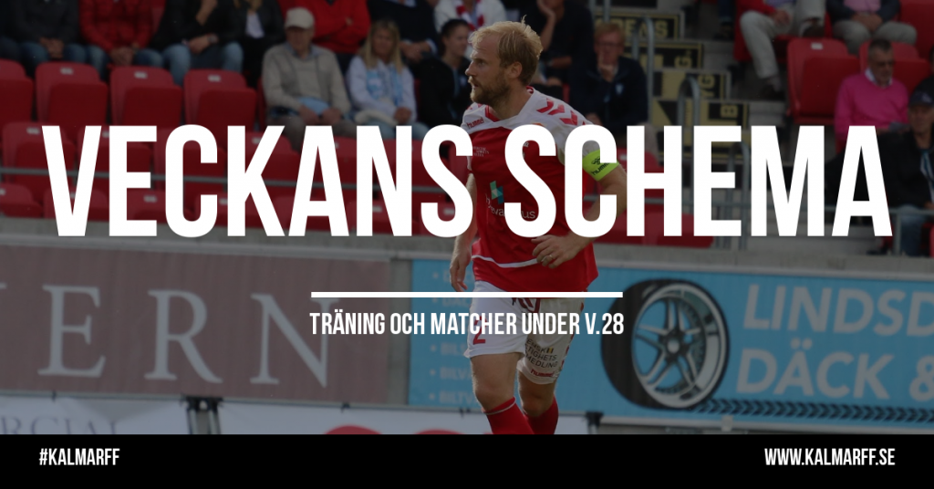 Träningsschema v.28