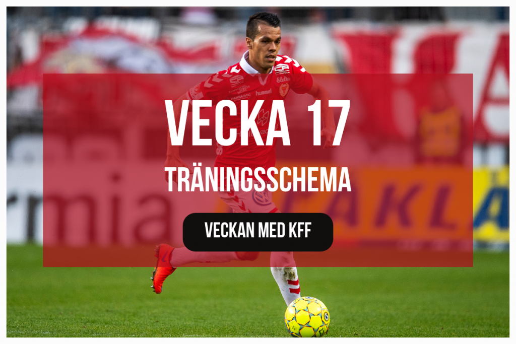 Träningsschema v.17