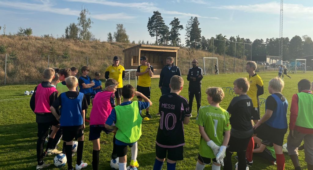 Framsteg och utmaningar: En årsrapport från RTP